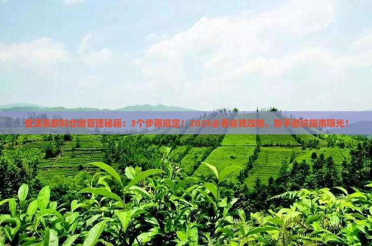 普洱茶散料仓储管理系统