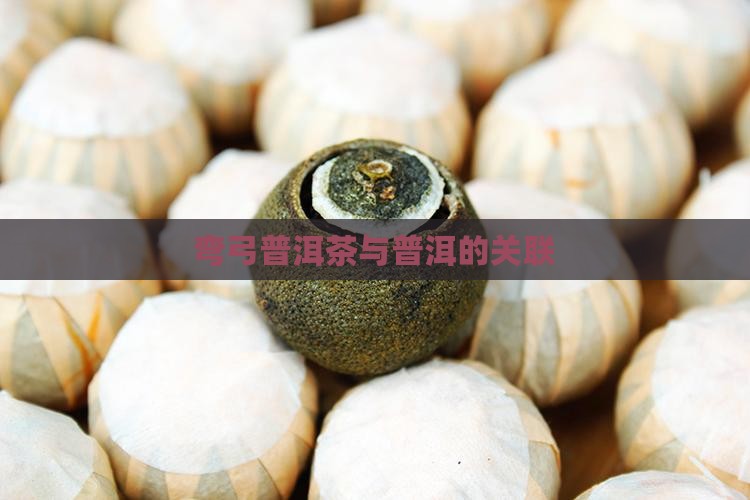 弯弓普洱茶在哪