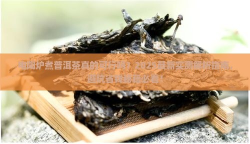 电陶炉煮普洱茶