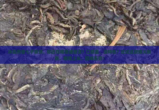 冰岛熟普七子茶饼