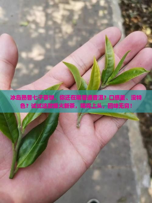 冰岛熟普七子茶饼