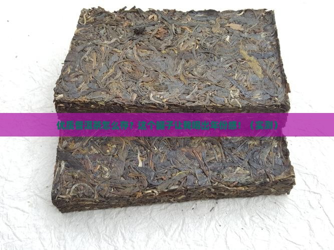 优质普洱茶储存罐