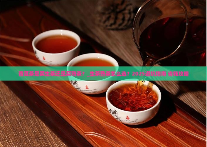 普洱茶是买生茶还是买熟茶