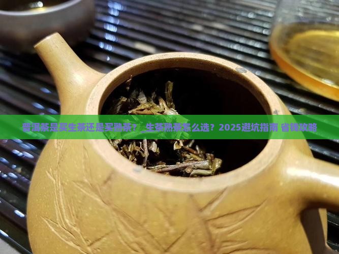普洱茶是买生茶还是买熟茶