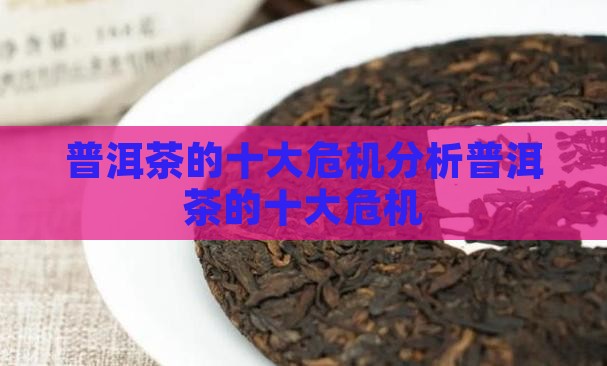 普洱茶的十大危机