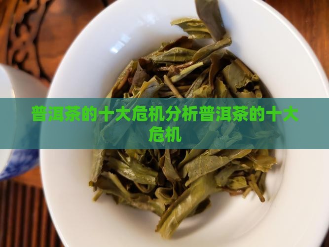 普洱茶的十大危机