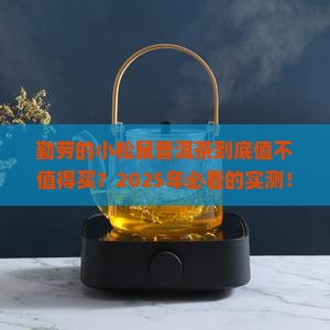 勤劳的小松鼠普洱茶怎么样