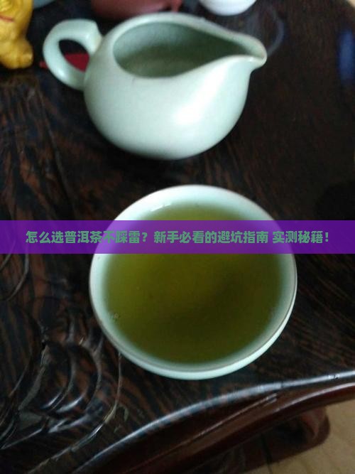 怎么选够普洱茶的好坏