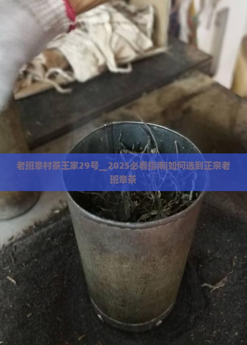 老班章村茶王家29号