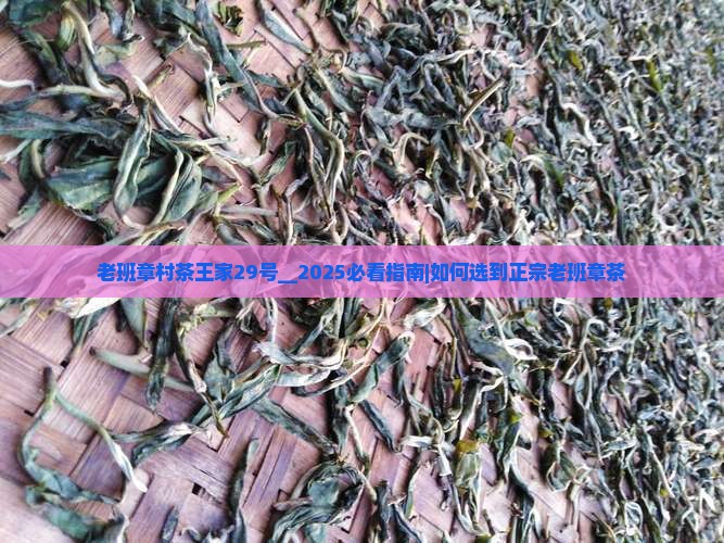老班章村茶王家29号