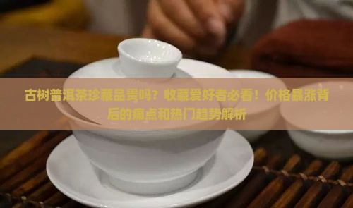 古树普洱茶珍藏品贵吗