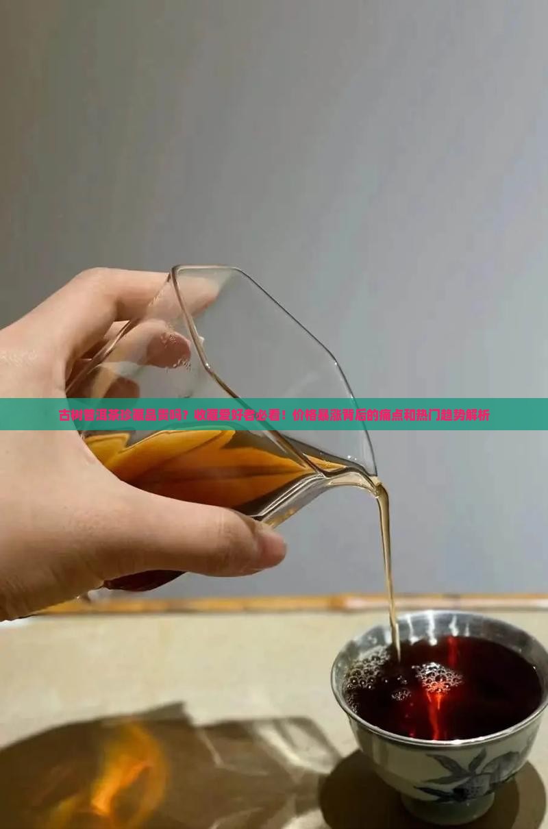 古树普洱茶珍藏品贵吗