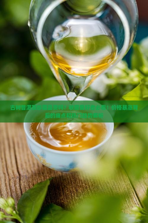古树普洱茶珍藏品贵吗