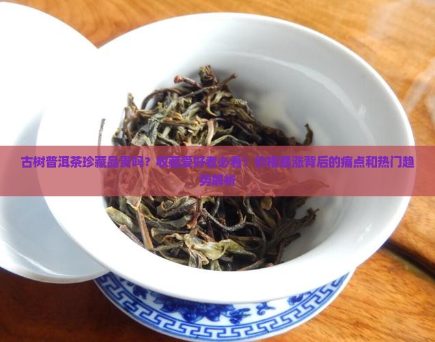 古树普洱茶珍藏品贵吗