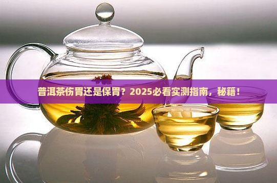 普洱茶伤胃还是保胃