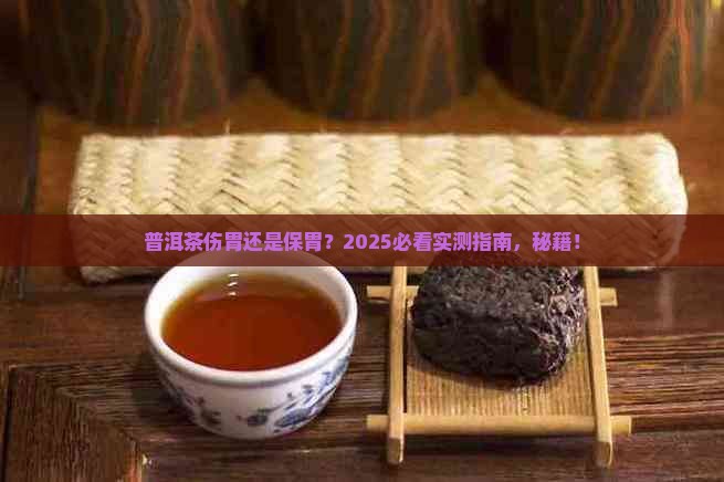 普洱茶伤胃还是保胃
