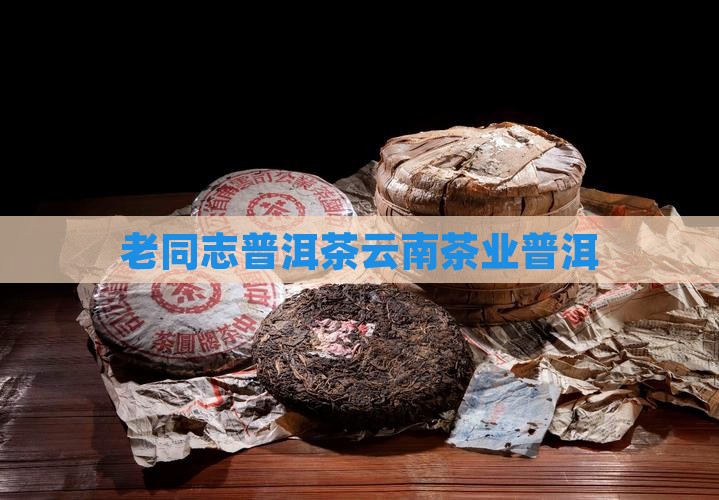 老同志普洱茶那个市