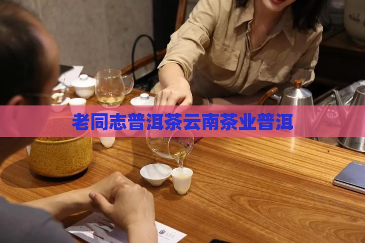 老同志普洱茶那个市