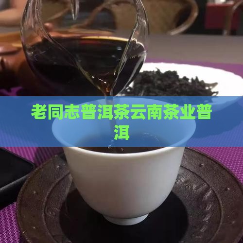 老同志普洱茶那个市