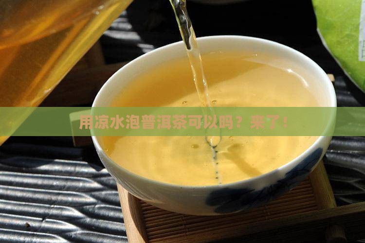 用凉水泡普洱茶可以吗 用凉水泡普洱茶可以吗