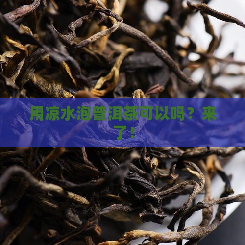 用凉水泡普洱茶可以吗 用凉水泡普洱茶可以吗