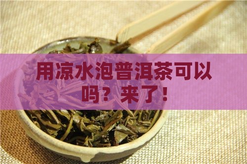 用凉水泡普洱茶可以吗 用凉水泡普洱茶可以吗