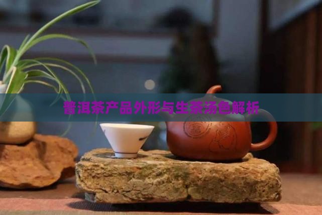 普洱茶外形汤色