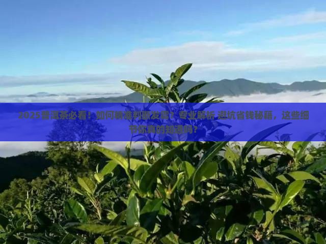 普洱茶怎么判断发霉没有