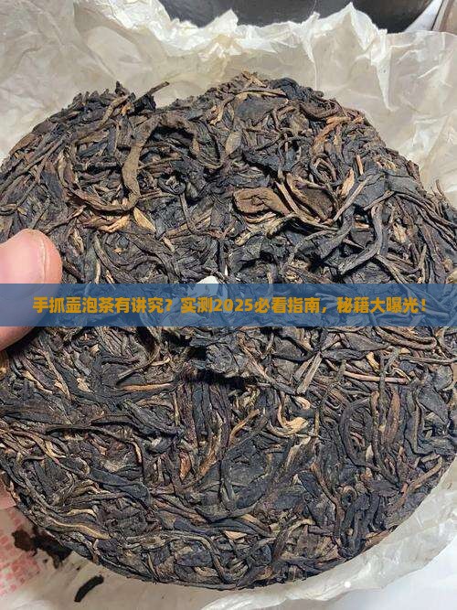 手抓壶适合泡什么茶