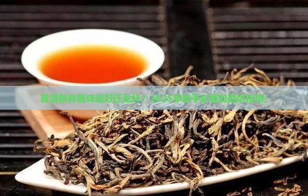 普洱茶有腥味是好吗
