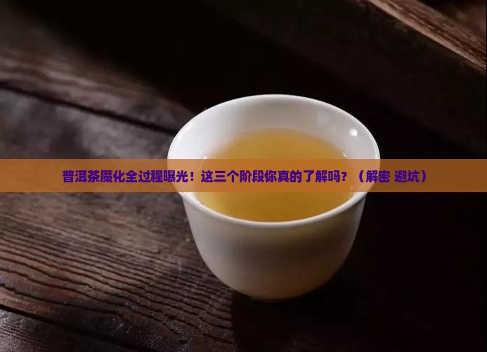 普洱茶魔化前三个阶段