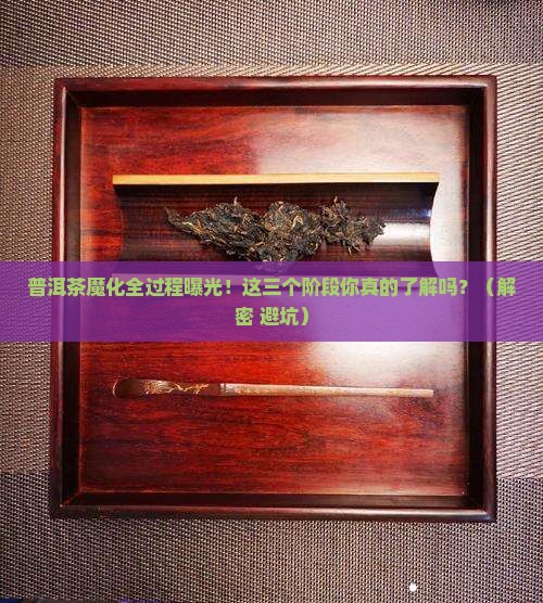 普洱茶魔化前三个阶段