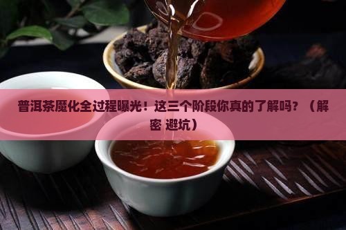 普洱茶魔化前三个阶段