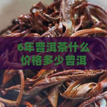 6年普洱茶什么价格是多少