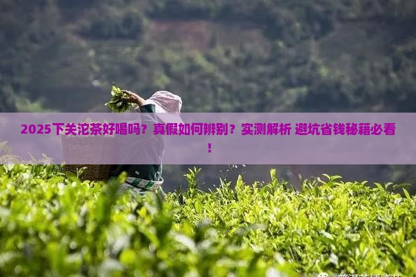 下关沱茶好喝吗06下关沱茶真假