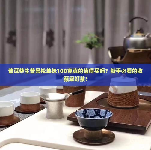 普洱茶生普曼松单株100克