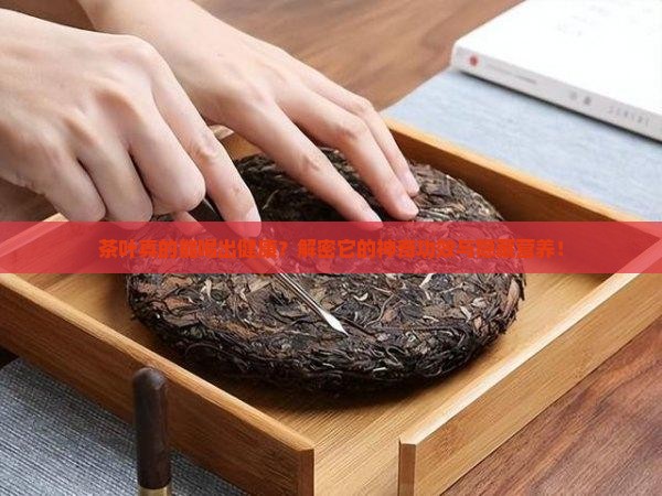 茶叶的功效与作用及营养价值