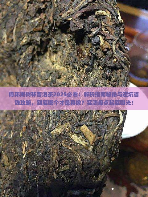 倚邦黑树林普洱茶