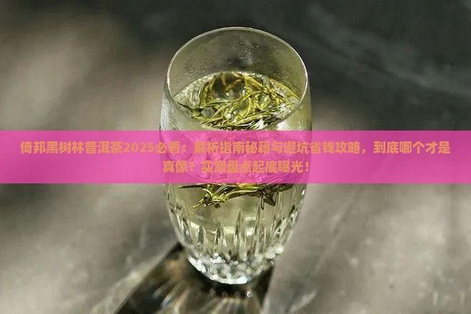 倚邦黑树林普洱茶