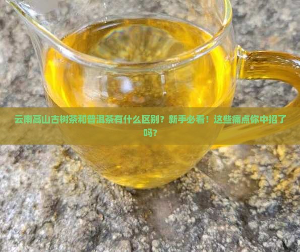 云南高山古树茶普洱茶区别