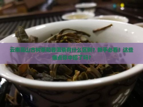 云南高山古树茶普洱茶区别