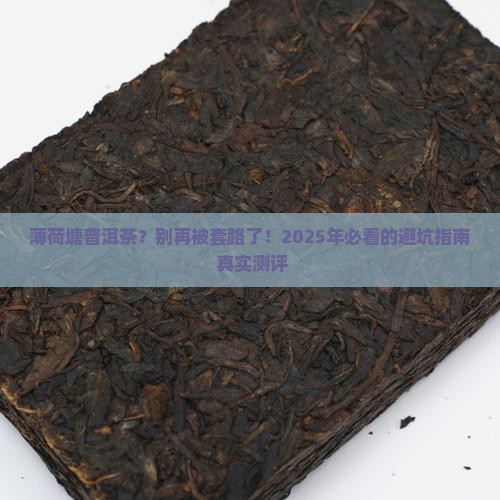 薄荷塘普洱茶官网