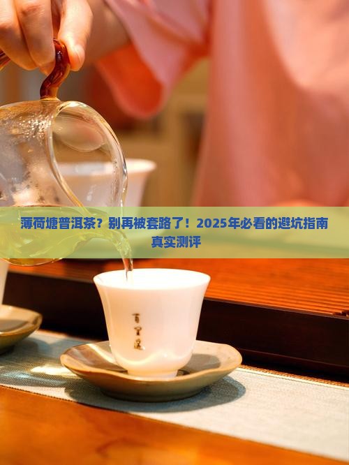 薄荷塘普洱茶官网