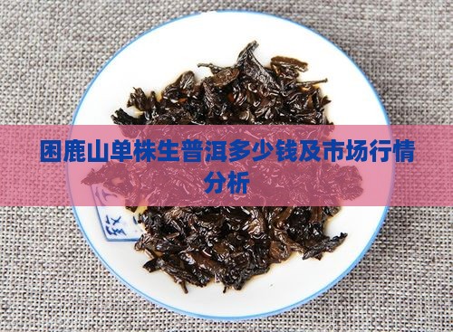 困鹿山单株生普洱多少钱