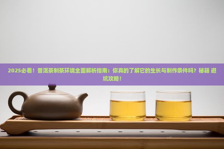 普洱茶的制茶环境是什么