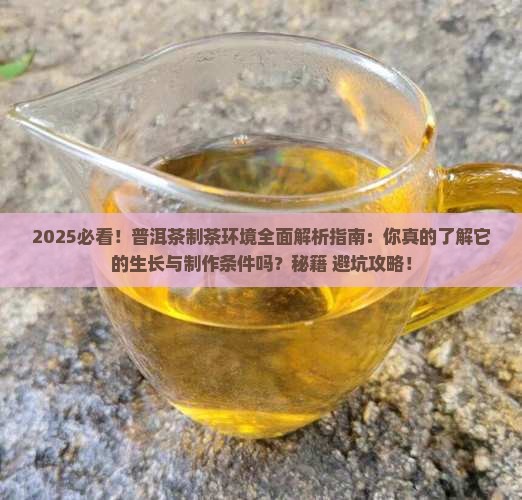 普洱茶的制茶环境是什么