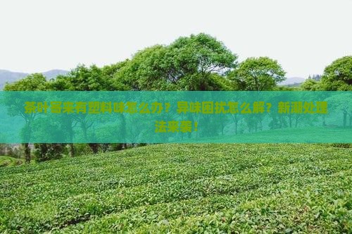 茶叶寄来有塑料味怎么处理