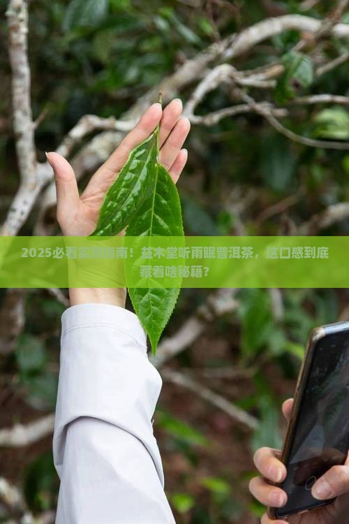 益木堂听雨眠普洱茶