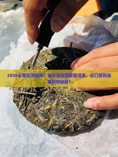 益木堂听雨眠普洱茶