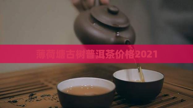 薄荷塘普洱茶价格2021